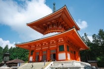 1名参加OK!【名古屋駅発】*1泊4食付*紀伊山地世界遺産めぐり『高野山と龍神温泉』2